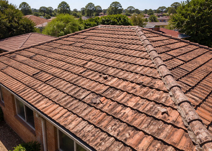 03944385 53d9 449e 9ee4 94dccb2f4770